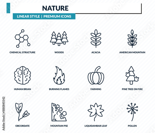 nature icons set - chemical structure, woods, acacia, pine tree on fire, pollen outline vector collection.