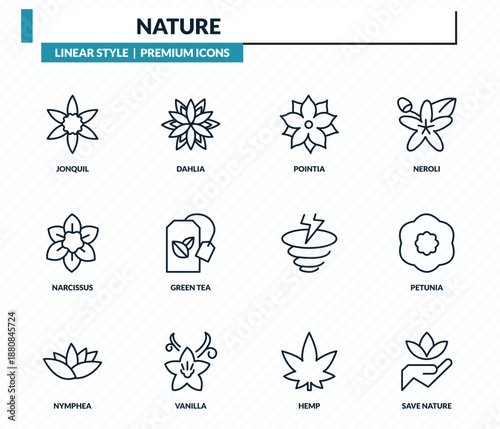 nature icons set - jonquil, dahlia, pointia, petunia, save nature outline vector collection.