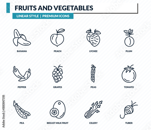 fruits and vegetables icons set - banana, peach, lychee, tomato, tuber outline vector collection.
