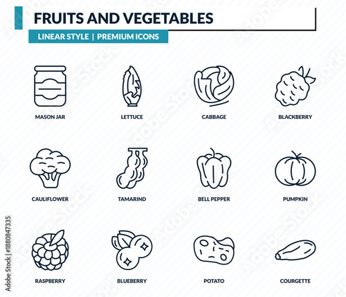 fruits and vegetables icons set - mason jar, lettuce, cabbage, pumpkin, courgette outline vector collection.