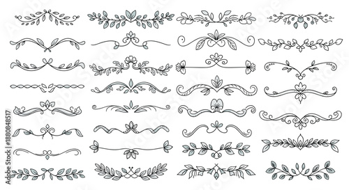 Large collection of hand-drawn floral and leafy divider elements, perfect for elegant text decoration, borders, and page ornaments.
