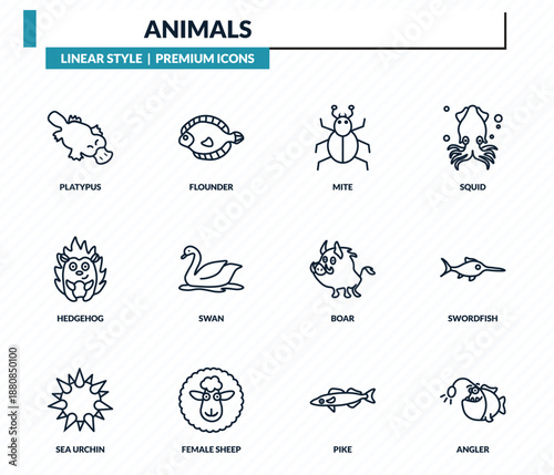 animals icons set - platypus, flounder, mite, swordfish, angler outline vector collection.