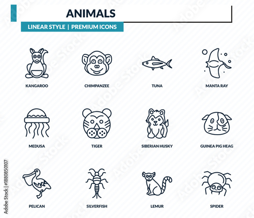 animals icons set - kangaroo, chimpanzee, tuna, guinea pig heag, spider outline vector collection.