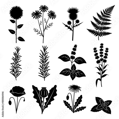 Elegant botanical silhouettes featuring diverse herbs, flowers, and plants for organic designs and natural product branding that evokes purity and freshness