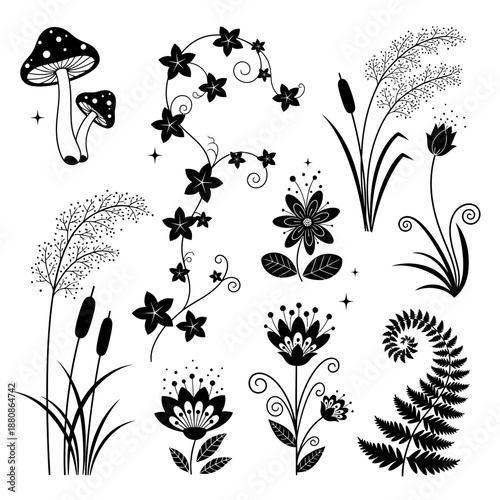Elegant botanical set perfect for modern designs, featuring stylish flowers, mushrooms, and ferns for a touch of natural beauty that's simply captivating