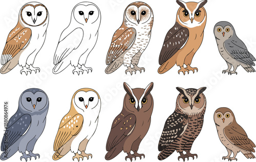 Flat Vector Set of Owls – Forest Bird Species Collection