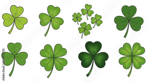 Collection of green four leaf clovers on white background