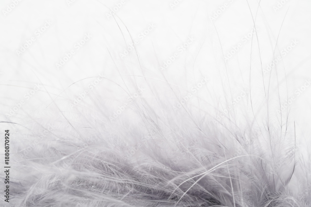 Obraz premium fur background