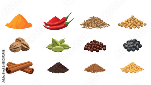 Colorful flat spice collection with herbs and flavorful seasonings