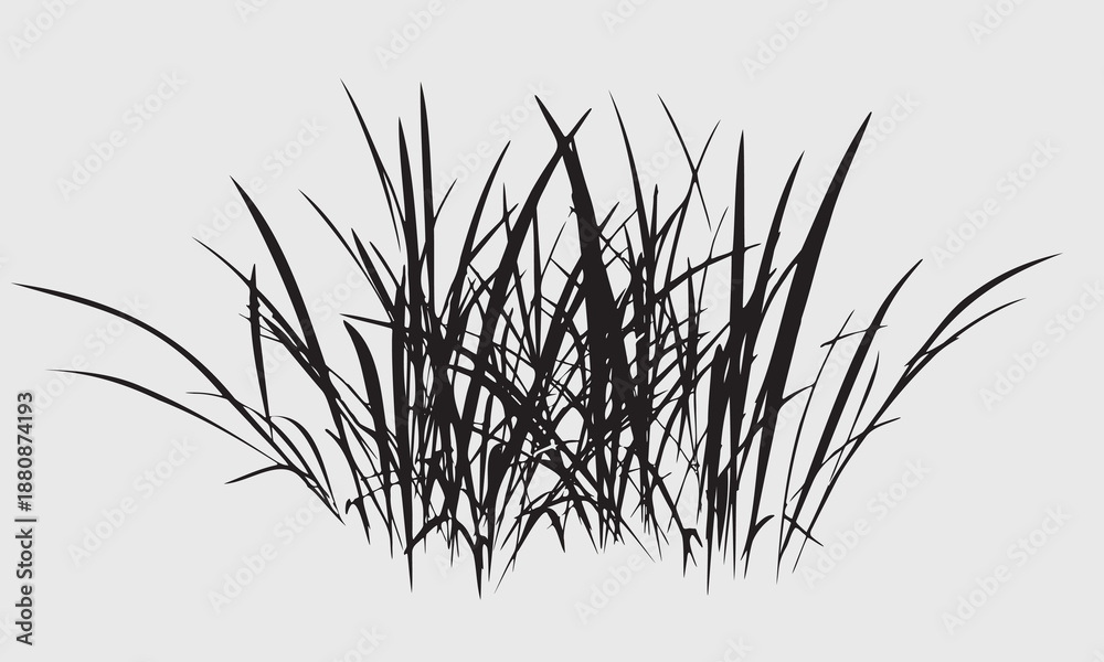 Obraz premium Black grass silhouettes border, meadow grass panorama isolated on white background