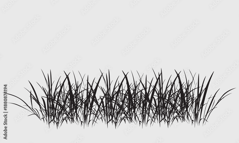 Naklejka premium Black grass silhouettes border, meadow grass panorama isolated on white background