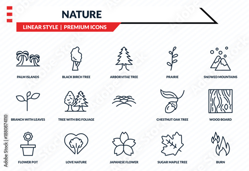 nature icons set - palm islands, black birch tree, branch with leaves, japanese flower, burn outline vector collection.