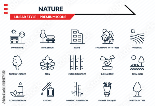 nature icons set - sunny park, park bench, the maples tree, bamboo plant from japan, white ash tree outline vector collection.