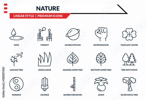 nature icons set - wate, therapy, leafless tree, bamboo branches, silver maple tree outline vector collection.