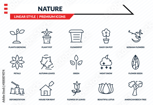 nature icons set - plants growing, plant pot, petals, flower of leaves, american beech tree outline vector collection.