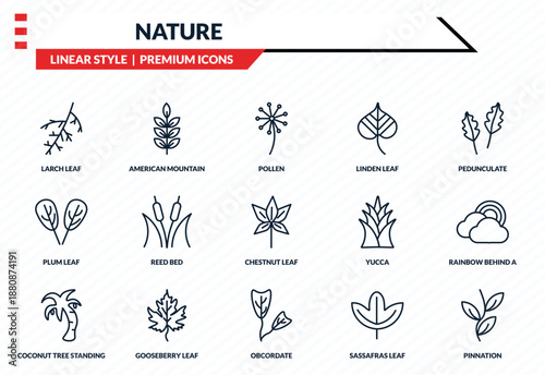 nature icons set - larch leaf, american mountain ash, plum leaf, obcordate, pinnation outline vector collection.