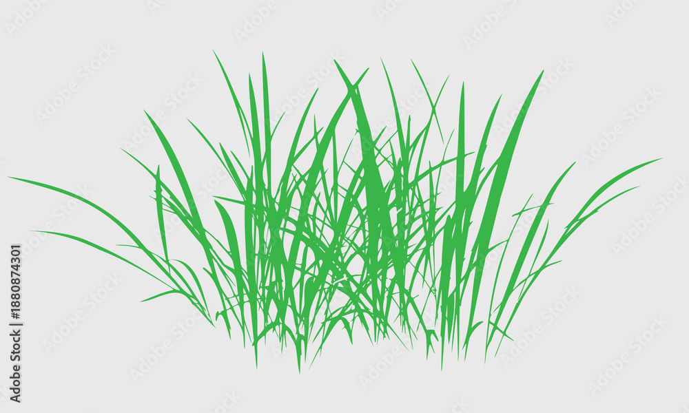 Obraz premium Black grass silhouettes border, meadow grass panorama isolated on white background