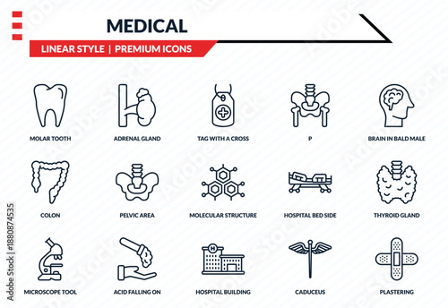 medical icons set - molar tooth, adrenal gland, colon, hospital building front, plastering outline vector collection.