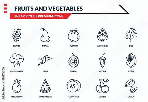 fruits and vegetables icons set - grapes, guava, cauliflower, cucumber, garlic outline vector collection.