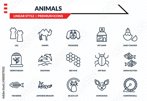 animals icons set - leg, humps, herpetarium, black cat, hamster ball outline vector collection.