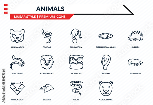 animals icons set - salamander, cougar, porcupine, crow, cheetah outline vector collection.