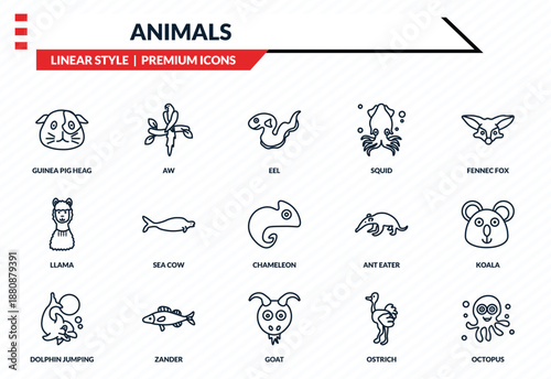 animals icons set - guinea pig heag, aw, llama, goat, octopus outline vector collection.
