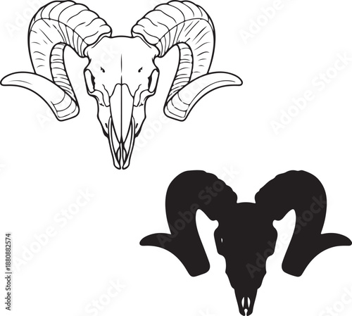 Ram skulls presented in two distinct artistic interpretations, featuring a line art outline and a solid black silhouette