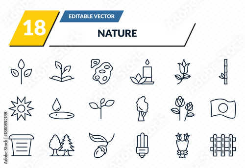 nature icons set - green, grows, asteroids, flower bouquet, picket fence outline vector collection.