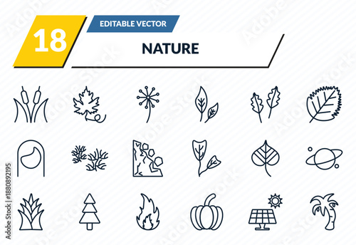 nature icons set - reed bed, grape leaf, pollen, solar, coconut tree standing outline vector collection.