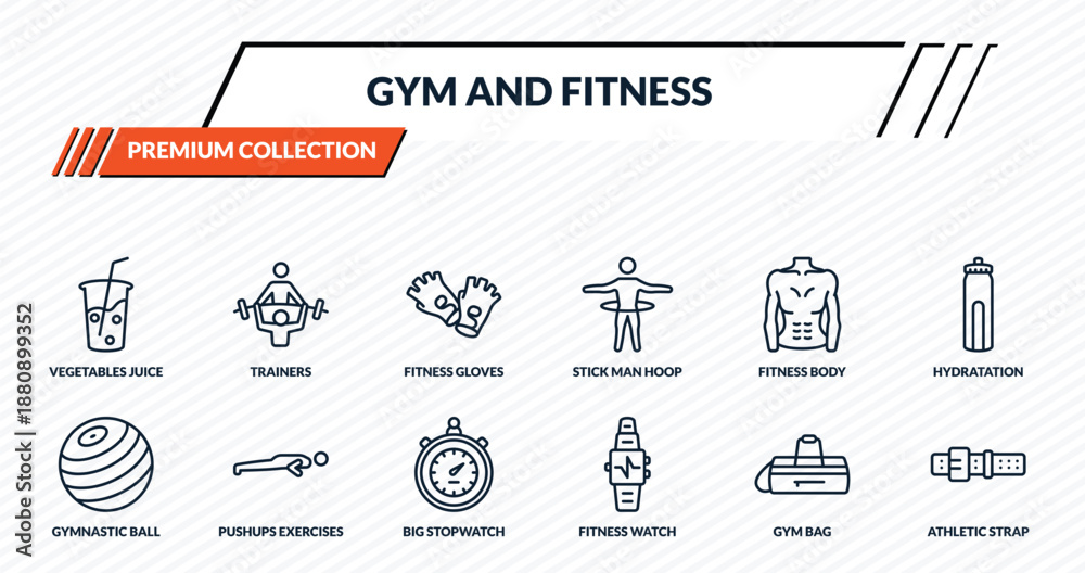 Fototapeta premium gym and fitness icons set - vegetables juice, trainers, fitness gloves, pushups exercises, athletic strap outline vector collection.