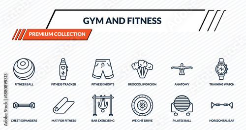 gym and fitness icons set - fitness ball, fitness tracker, shorts, mat for horizontal bar outline vector collection.
