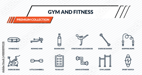 gym and fitness icons set - fitness belt, rowing hine, boxing bag, little dumbbell, sport watch outline vector collection.