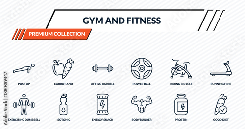 gym and fitness icons set - push up, carrot and, lifting barbell, isotonic, good diet outline vector collection.
