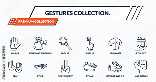 gestures collection. icons set - hand up, money bag of dollars, look up, eyelid, hand gesture outline vector collection.