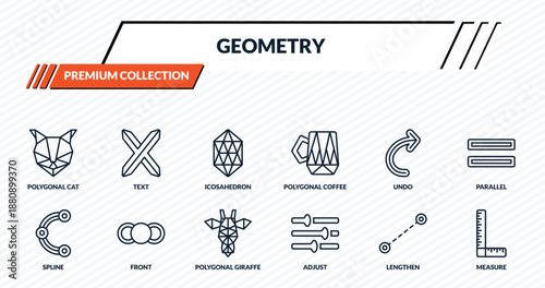 geometry icons set - polygonal cat, text, icosahedron, front, measure outline vector collection.