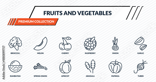 fruits and vegetables icons set - broccoli, melon, cherry, spring onion, tuber outline vector collection.