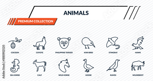 animals icons set - cocoon, coyote, philippine tarsier, calf, wildebeest outline vector collection.