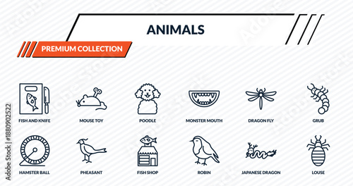 animals icons set - fish and knife, mouse toy, poodle, pheasant, louse outline vector collection.