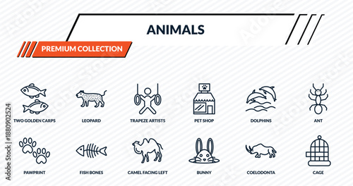 animals icons set - two golden carps, leopard, trapeze artists, fish bones, cage outline vector collection.