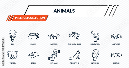 animals icons set - elk, prawn, panther, crow, big fish outline vector collection.
