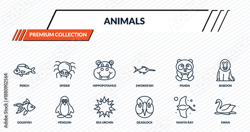 animals icons set - perch, spider, hippopotamus, penguin, swan outline vector collection.