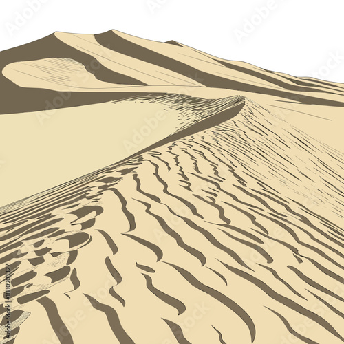 Desert land with wind swept sand dune surface texture