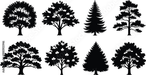 Collection, of, black, tree, silhouettes, featuring, detailed, oak, maple, pine, and, fir, species, for, nature, landscaping, forest, and, environmental, design, projects.