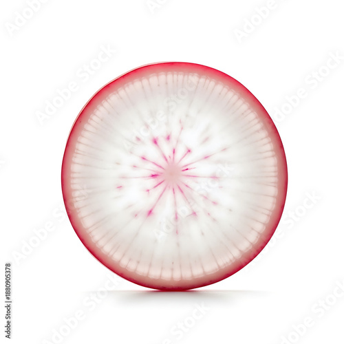 Vibrant studio shot of a crisp red radish slice showcasing intricate white and pink interior patterns