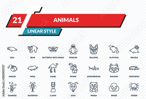 animals icons set - seal, bear, butterfly with wings, snigir, spider outline vector collection.