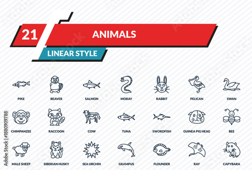 animals icons set - pike, beaver, salmon, ray, capybara outline vector collection.