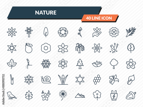 nature icons set - clematis, hypericum, cypress, eco socket, oak outline vector collection.