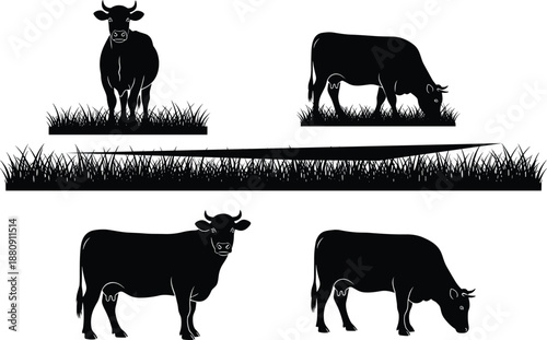 Black silhouette vector set of cows grazing in meadow grass field isolated on white background for organic dairy farm and agriculture branding design