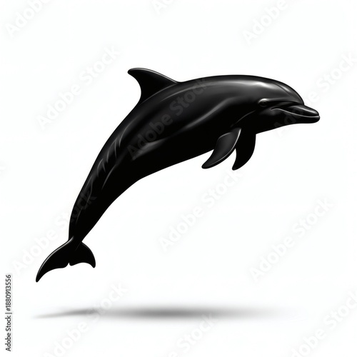 Dolphin Silhouette Isolated on White Background
