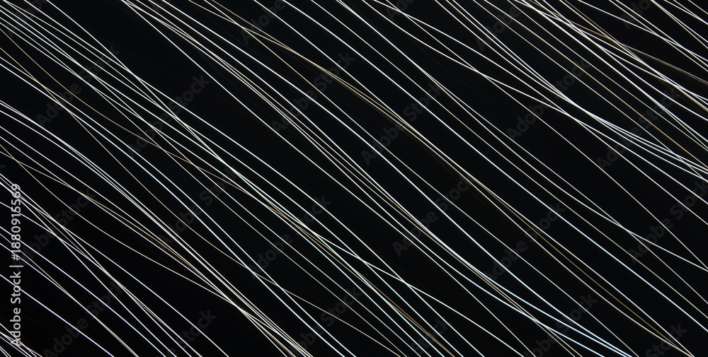 Fototapeta premium Luxurious Oil-Painted Magic for High-End Brands